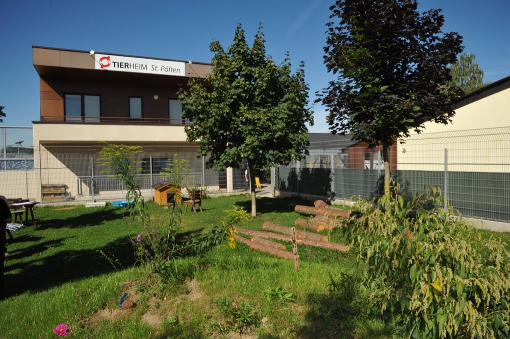 Tierschutzverein St. Pökten