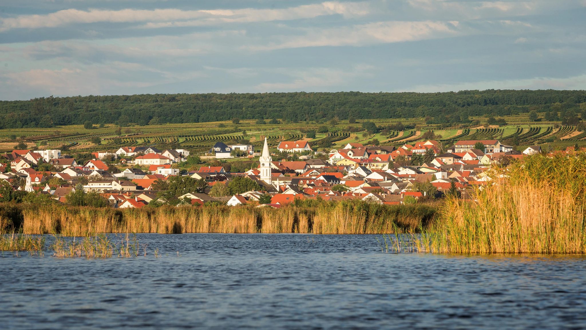 Mörbisch am See