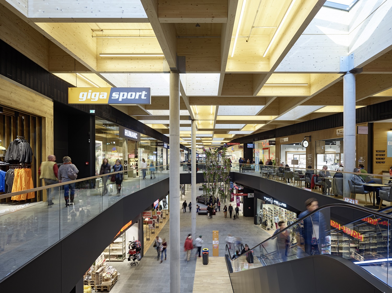 >>>Bildunterschrift<<<