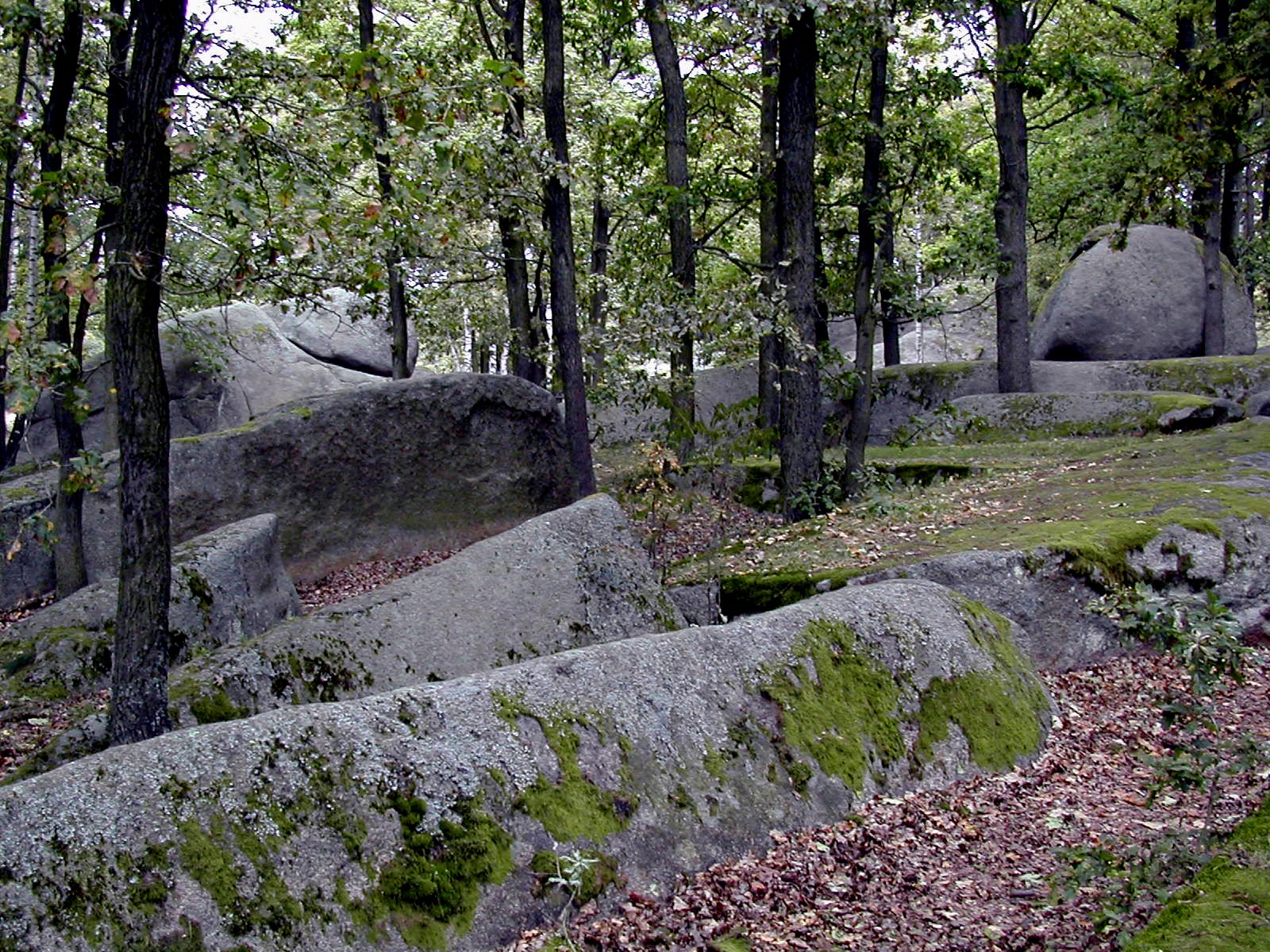 Gmünd_Naturpark_Blockheide
