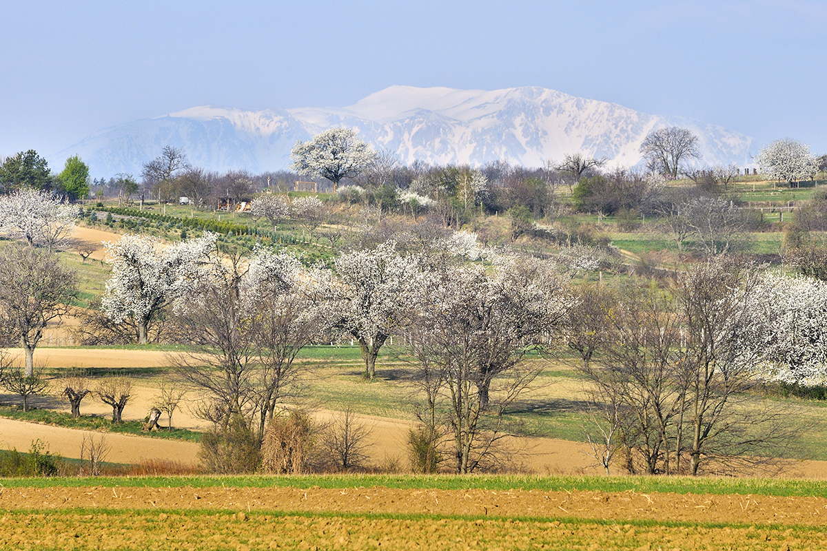 Naturpark Rosalia - Kogelberg