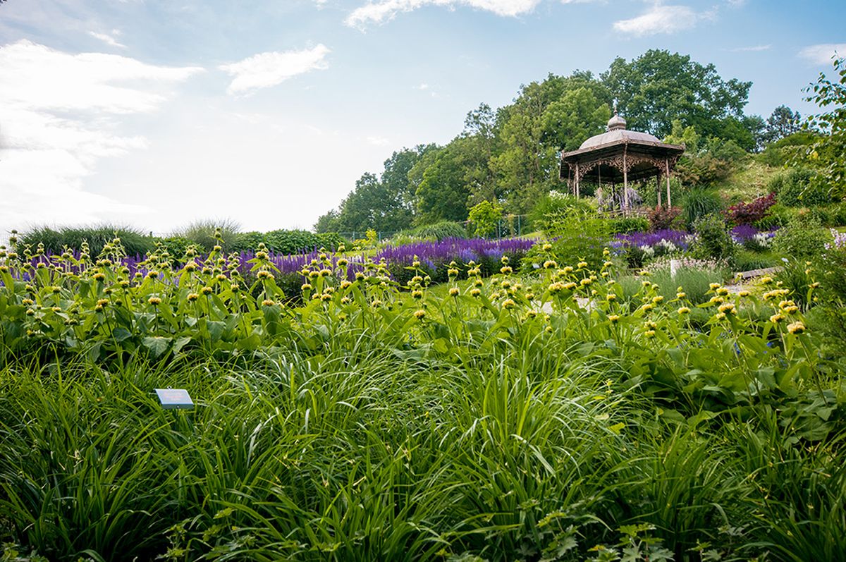 Offene Gartentage Schaugarten Messner