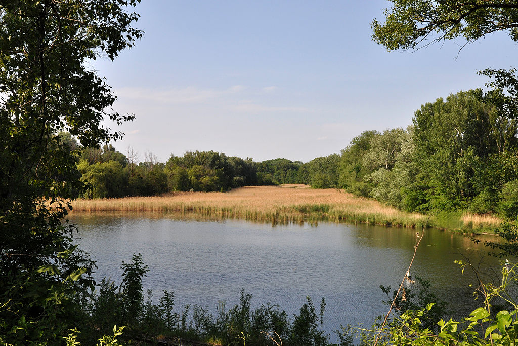 Panozzalacke Wien Lobau