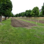 urban gardening beet wien