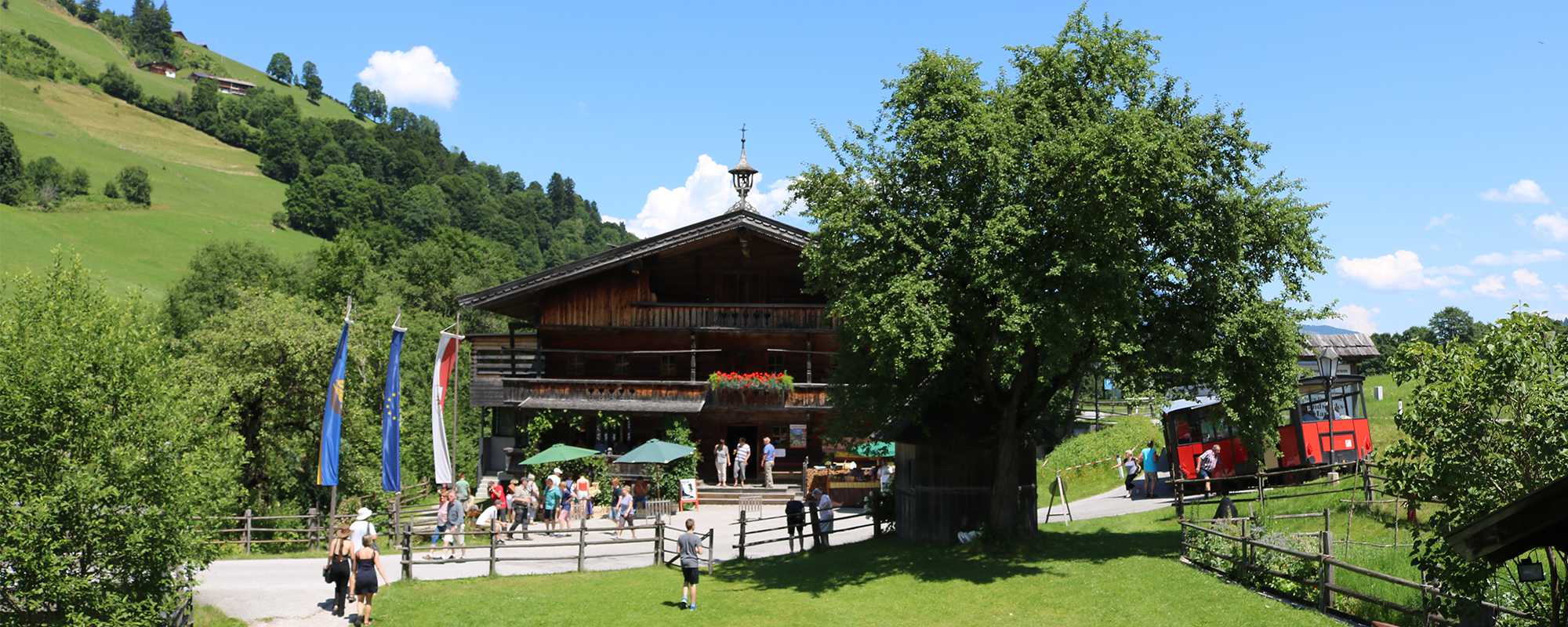 bbm-zbach-so-wt-20x8