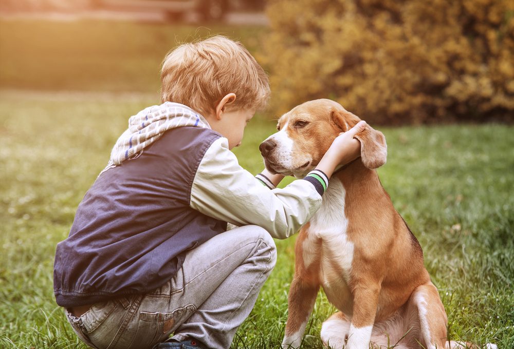 Vorteile Hunde Kinder