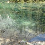 Der Grüne See in Tragöß – ein besonderes Naturjuwel