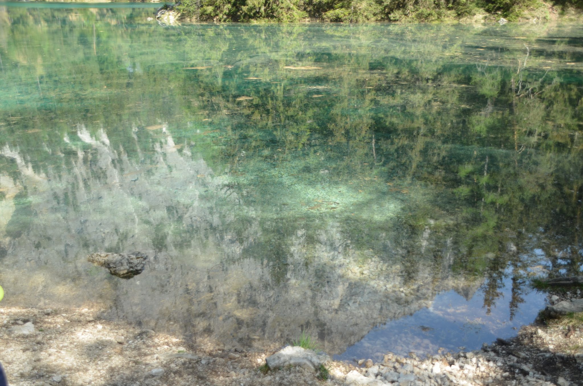 Der Grüne See in Tragöß – ein besonderes Naturjuwel