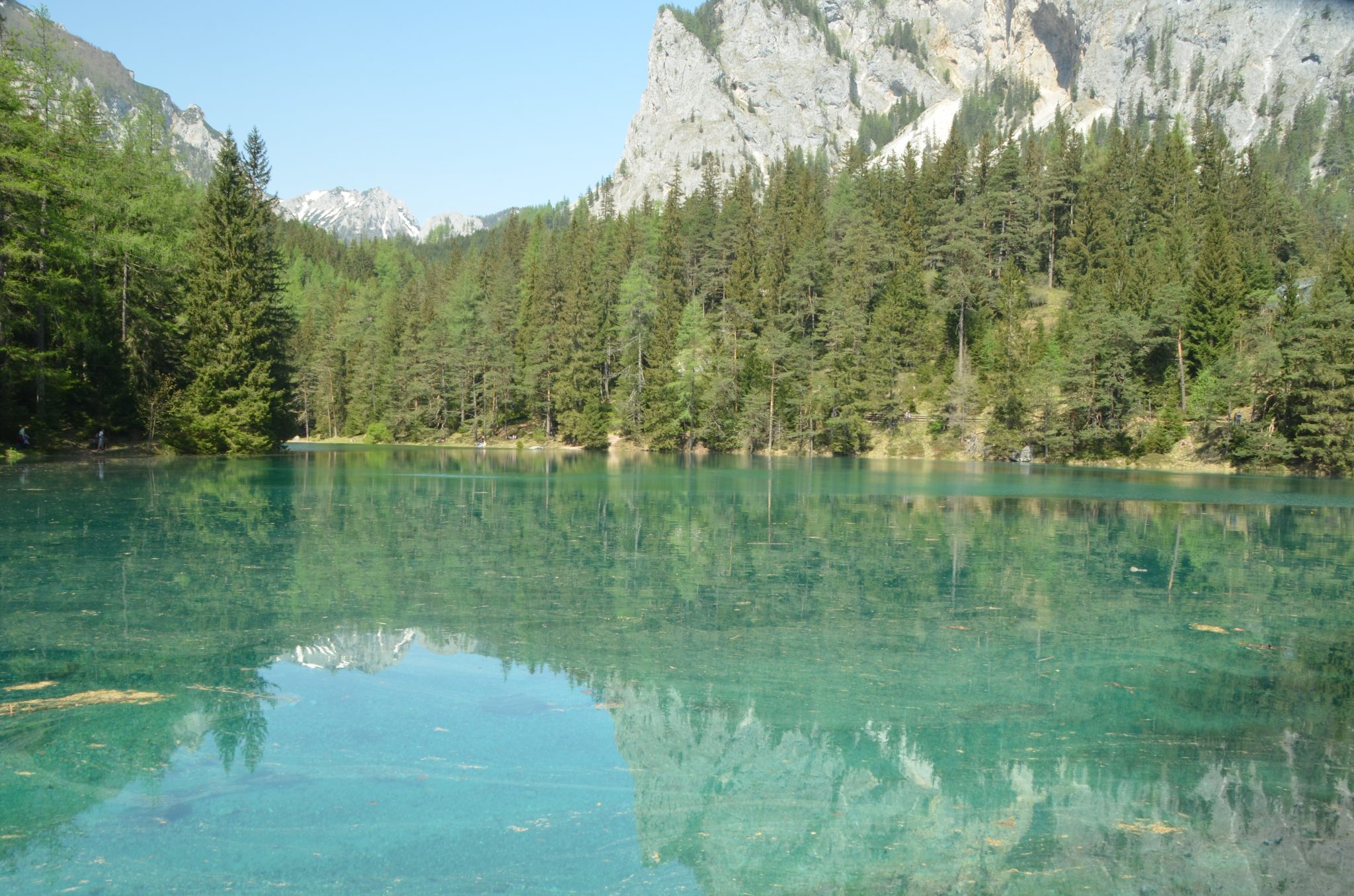 Der Grüne See in Tragöß – ein besonderes Naturjuwel