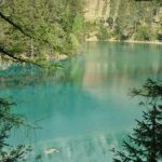 Der Grüne See in Tragöß – ein besonderes Naturjuwel