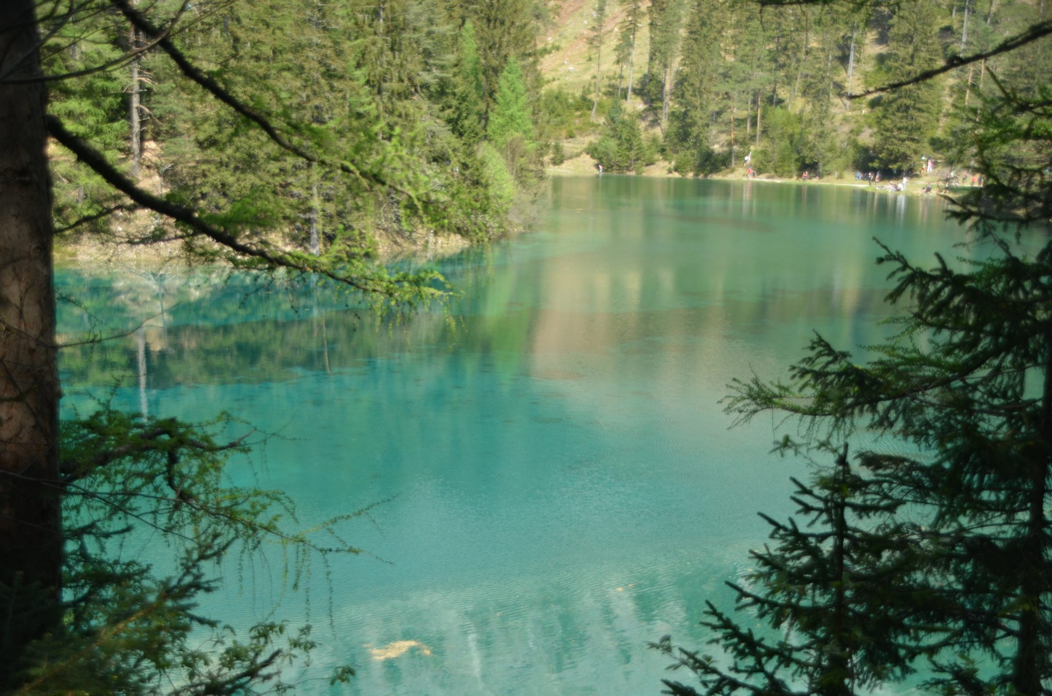 Der Grüne See in Tragöß – ein besonderes Naturjuwel