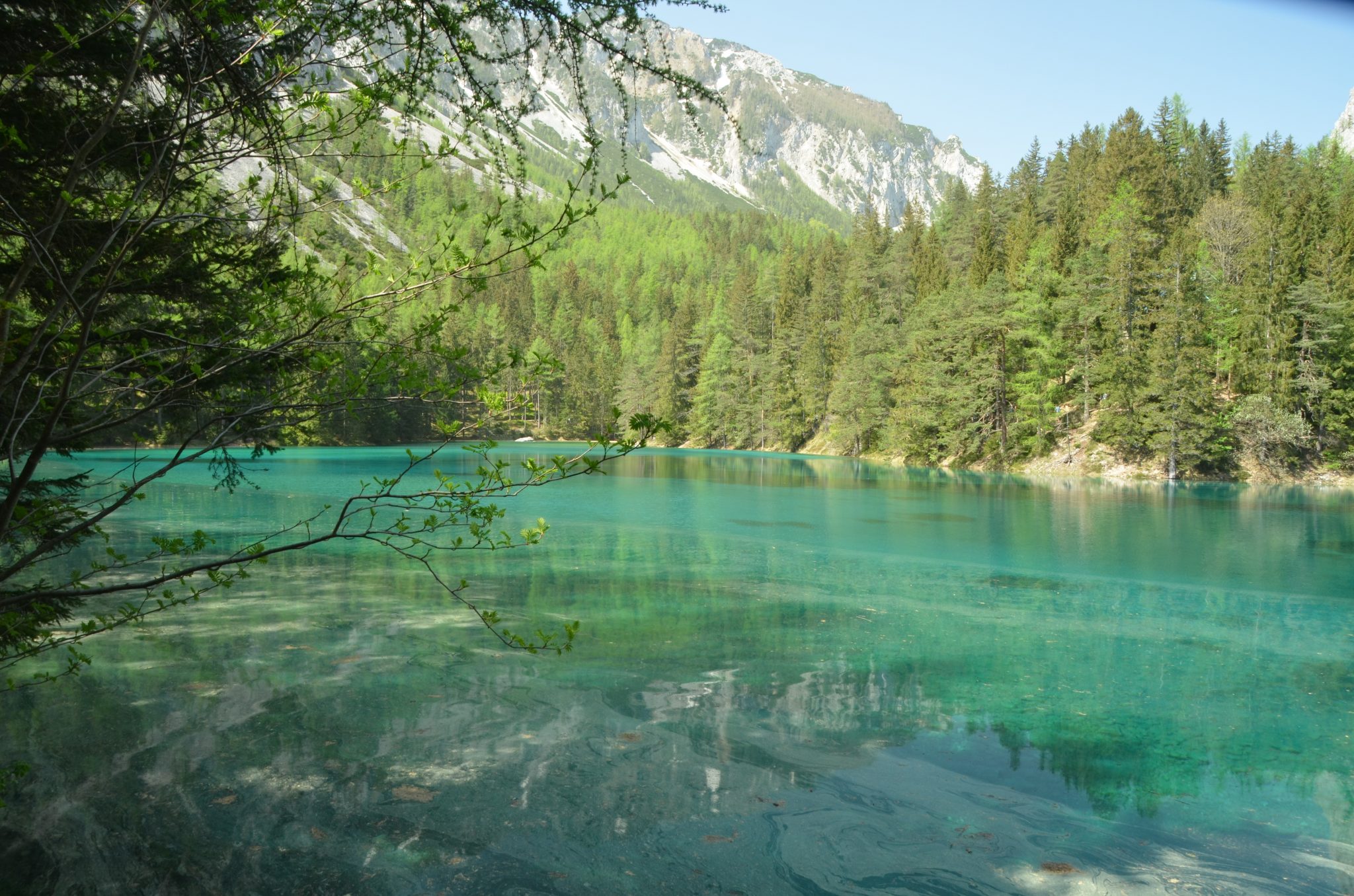 Der Grüne See in Tragöß – ein besonderes Naturjuwel