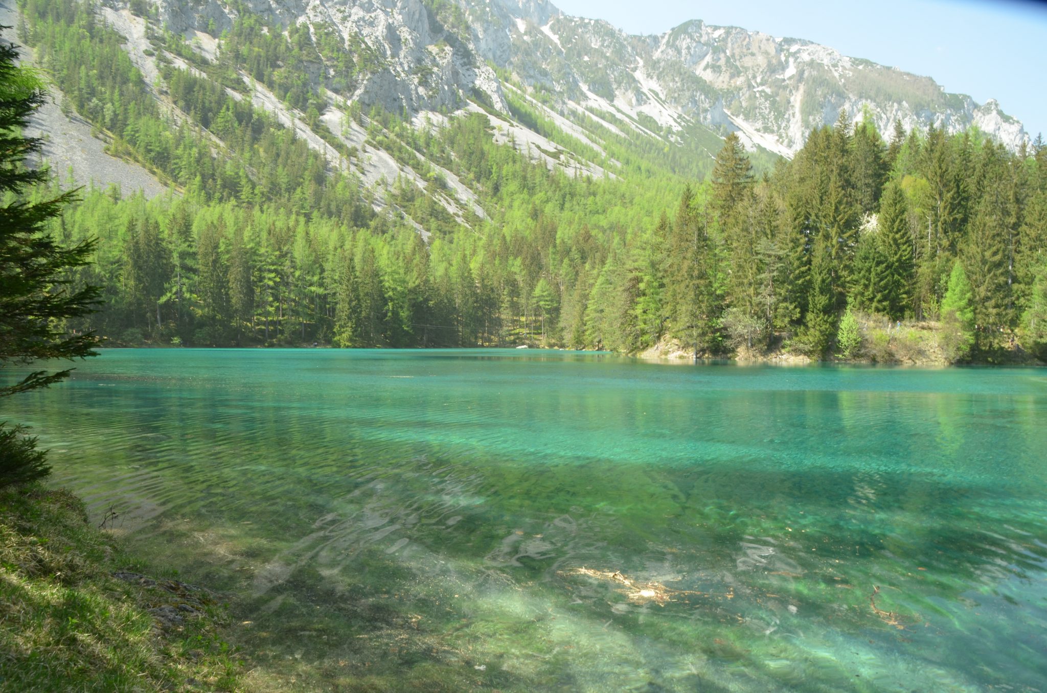 Der Grüne See in Tragöß – ein besonderes Naturjuwel