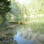 Der Grüne See in Tragöß – ein besonderes Naturjuwel