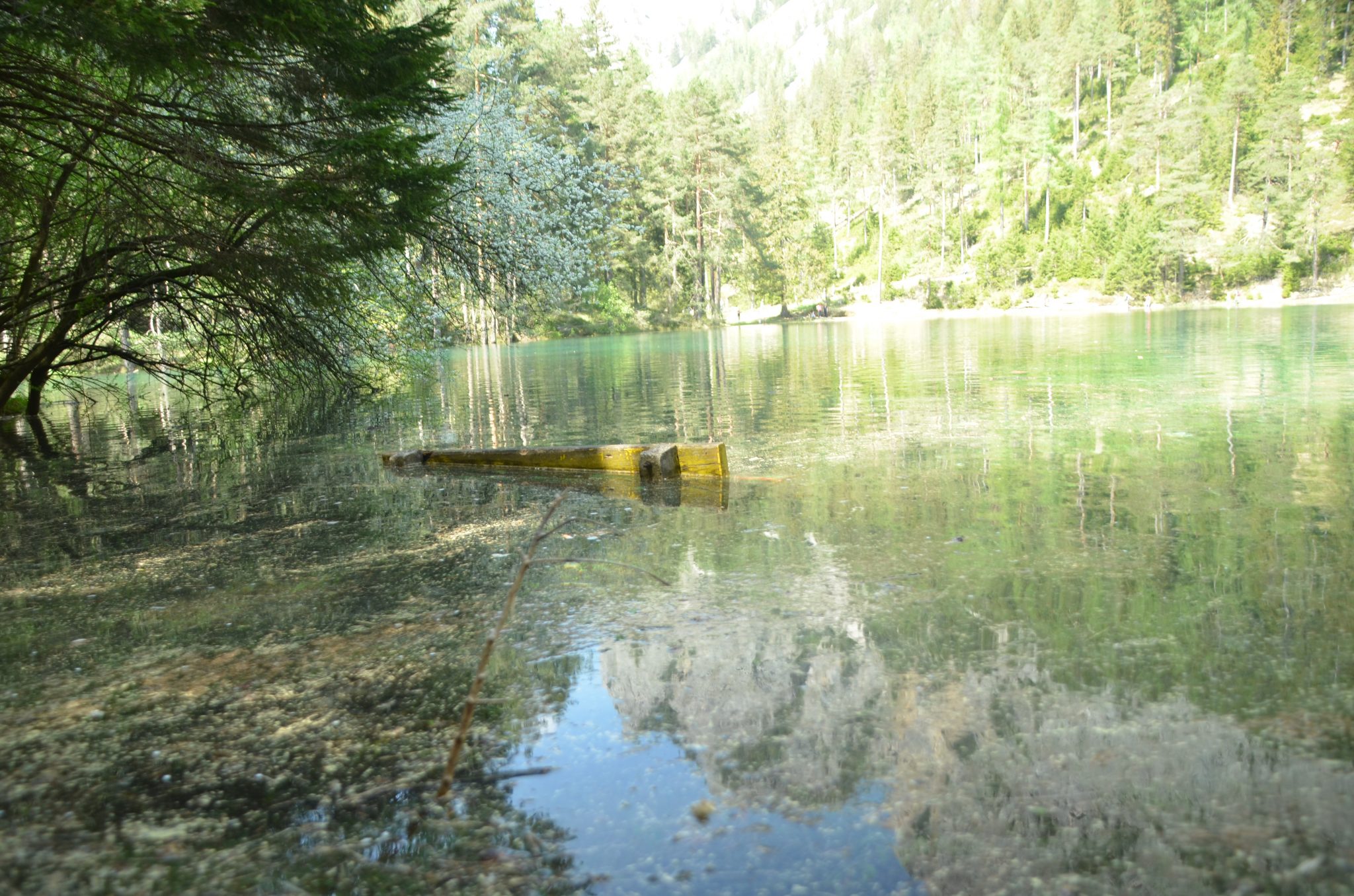 Der Grüne See in Tragöß – ein besonderes Naturjuwel