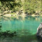 Der Grüne See in Tragöß – ein besonderes Naturjuwel