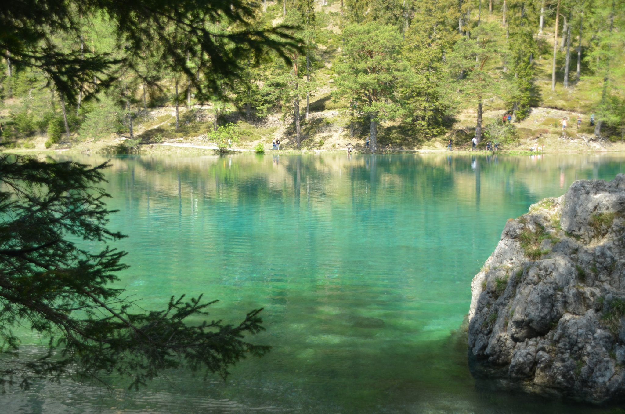 Der Grüne See in Tragöß – ein besonderes Naturjuwel