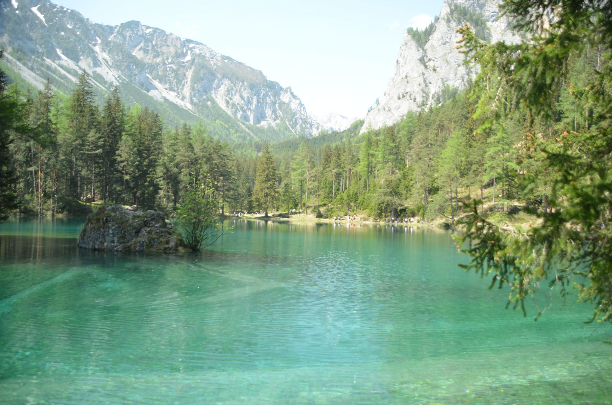 Der Grüne See in Tragöß – ein besonderes Naturjuwel