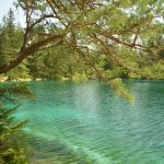 Der Grüne See in Tragöß – ein besonderes Naturjuwel