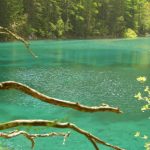 Der Grüne See in Tragöß – ein besonderes Naturjuwel