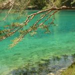 Der Grüne See in Tragöß – ein besonderes Naturjuwel