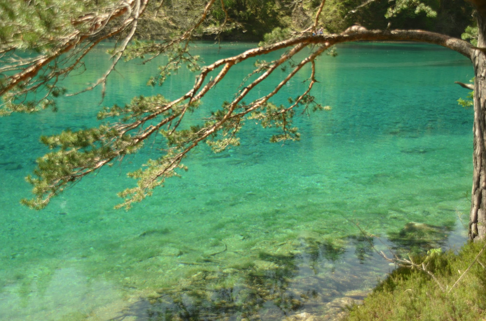 Der Grüne See in Tragöß – ein besonderes Naturjuwel