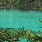 Der Grüne See in Tragöß – ein besonderes Naturjuwel