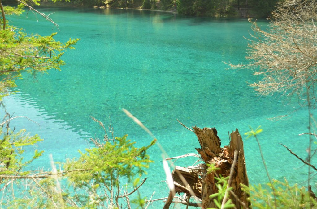 Der Grüne See in Tragöß – ein besonderes Naturjuwel