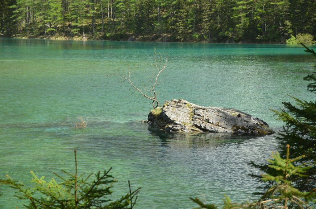 Der Grüne See in Tragöß – ein besonderes Naturjuwel