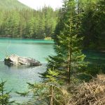 Der Grüne See in Tragöß – ein besonderes Naturjuwel