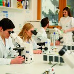 FH Gesundheitsberufe OÖ