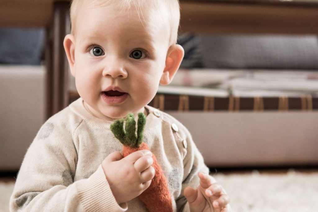 Löwenzahn Organics: Von Eltern für Eltern
