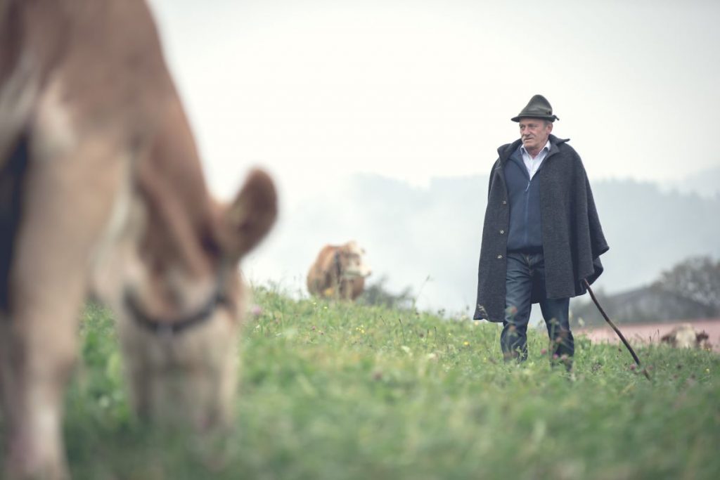Löwenzahn Organics: Von Eltern für Eltern