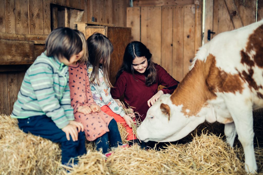 Tierische Ferienwochen am Landgut Cobenzl