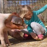 Tierische Ferienwochen am Landgut Cobenzl