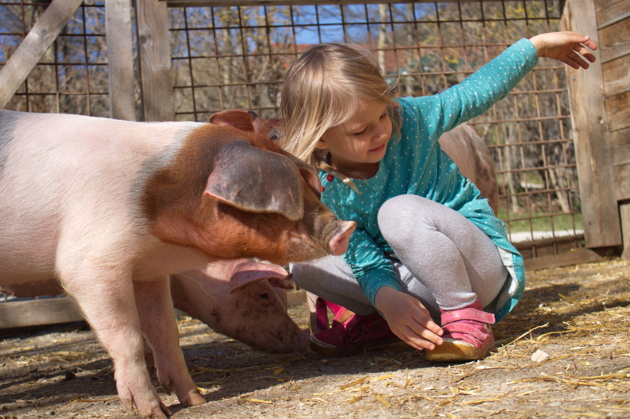 Tierische Ferienwochen am Landgut Cobenzl