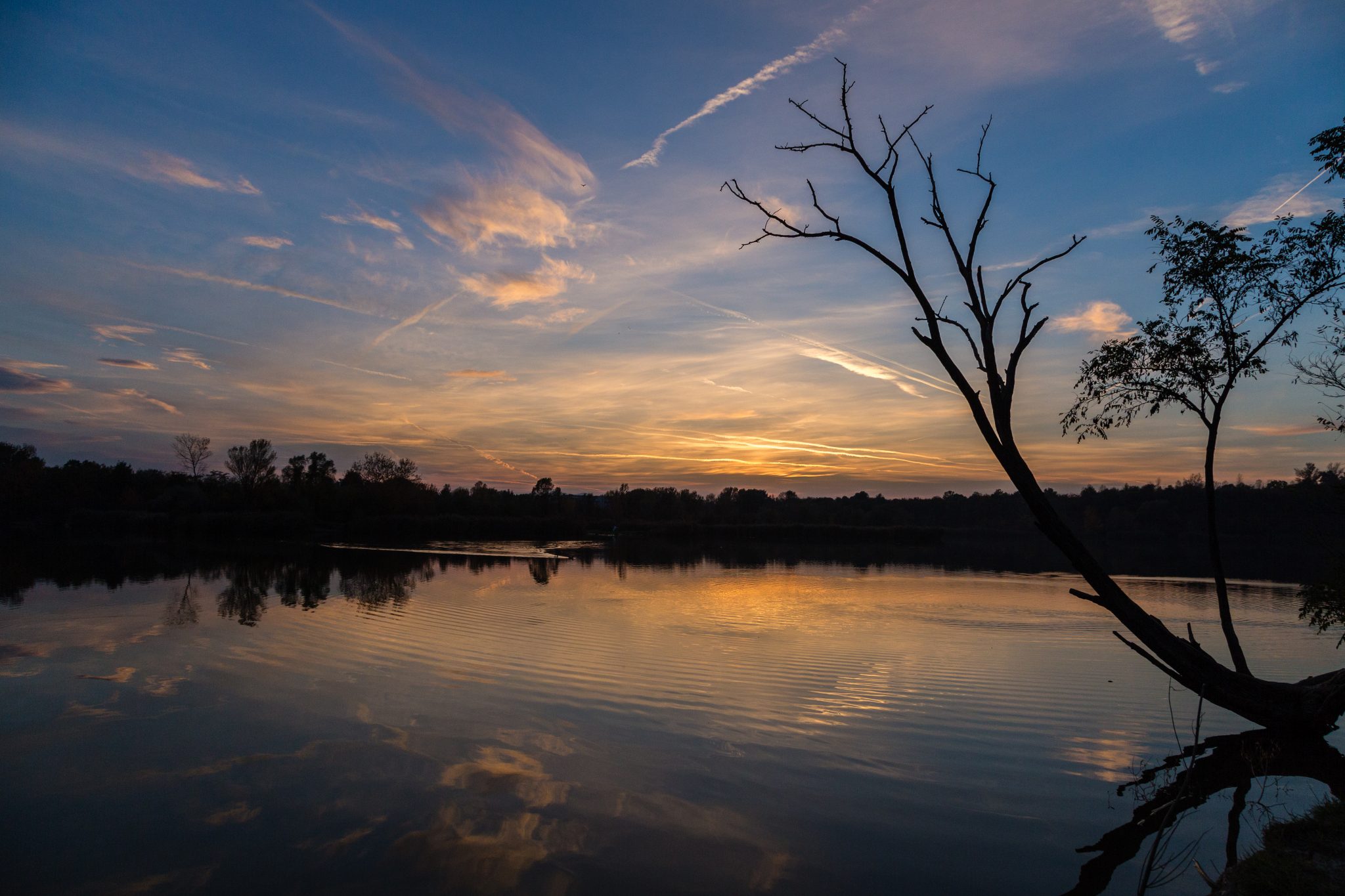 Ziegelteich Wienerberg