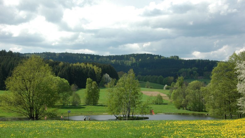 Naturbadeteich Moorbad Harbach