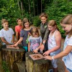 Bärenwald Vier Pfoten