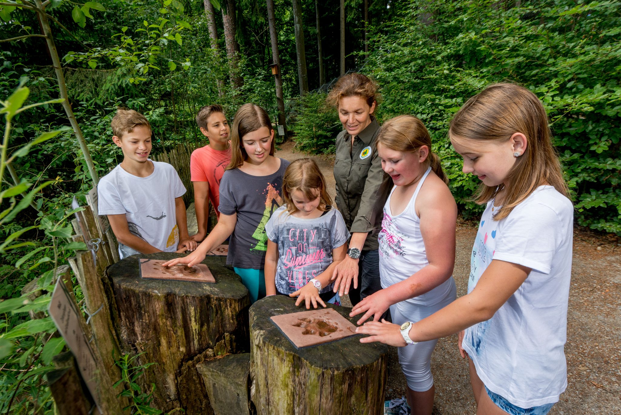 Bärenwald Vier Pfoten