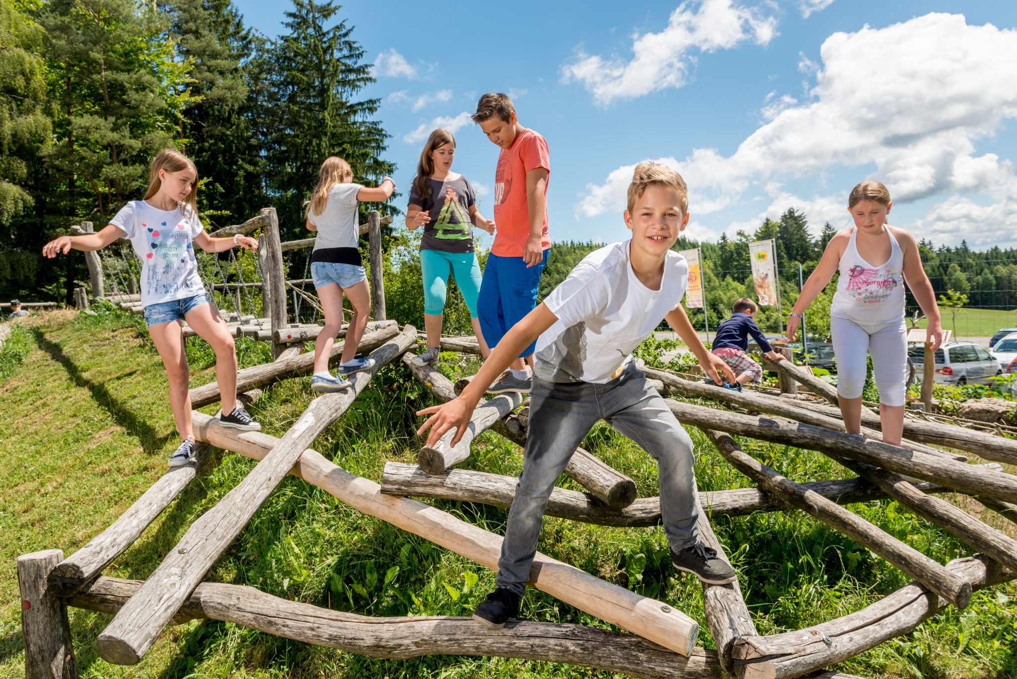 Bärenwald Vier Pfoten