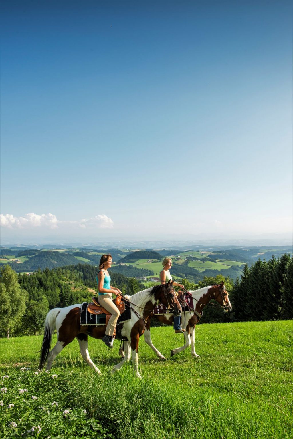 - Pilgerritt auf den Spuren des Johannesweges im Pferdereich Mühlviertler Alm