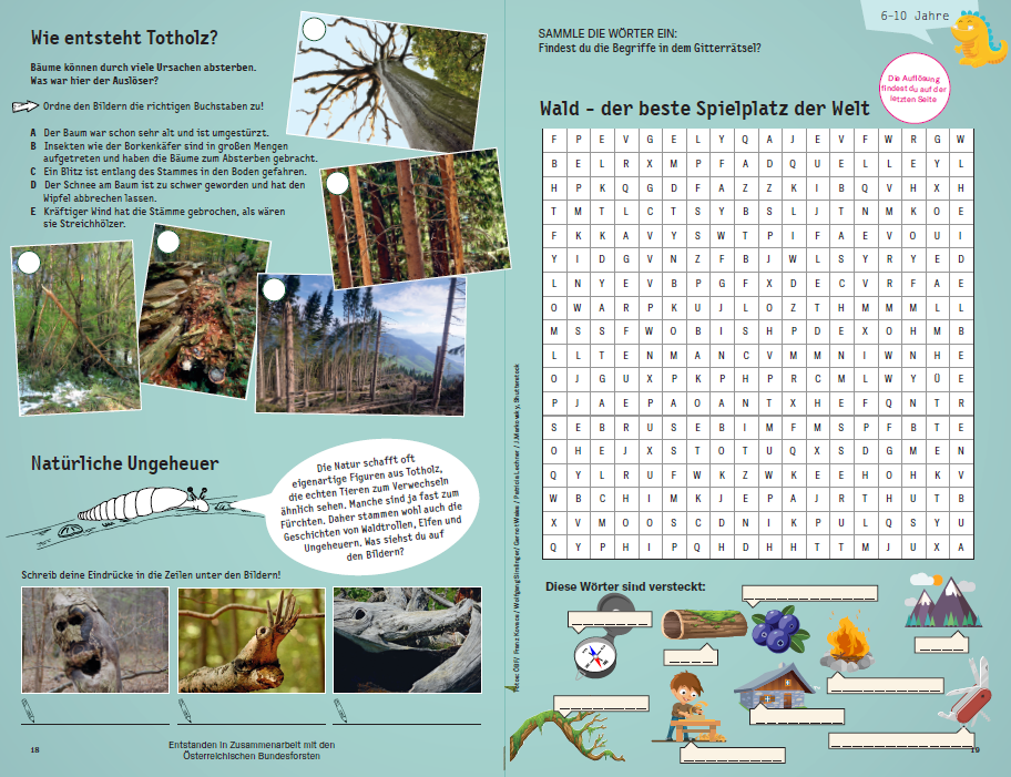 waldrätsel volksschule