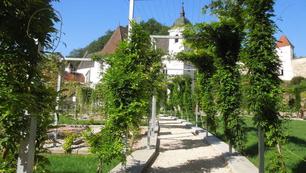 Kartause Aggsbach Meditationsgarten Museum Schmiede Steinstadel Kirche