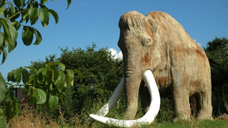 Urzeitmuseum Nußdorf ob der Traisen Leben im Traisental zur Bronzezeit Kinderprogramm