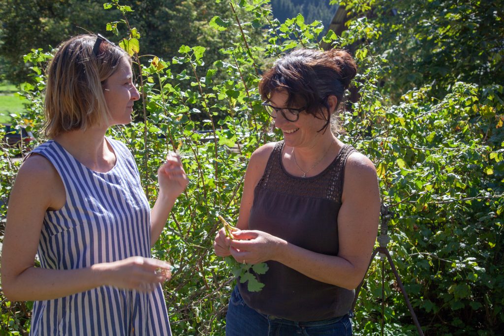 Ausbildung zur Kinder-Gesundheitstrainerin