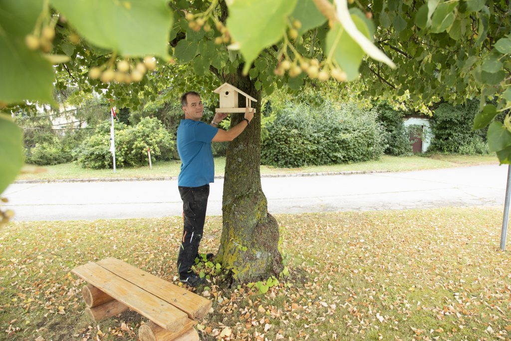 vogelhaus selber basteln