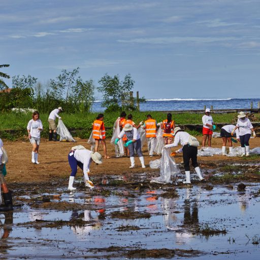 Holy Turtle Project Honduras Strandreinigung