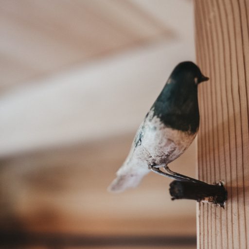 Holzvogerl im Chalet