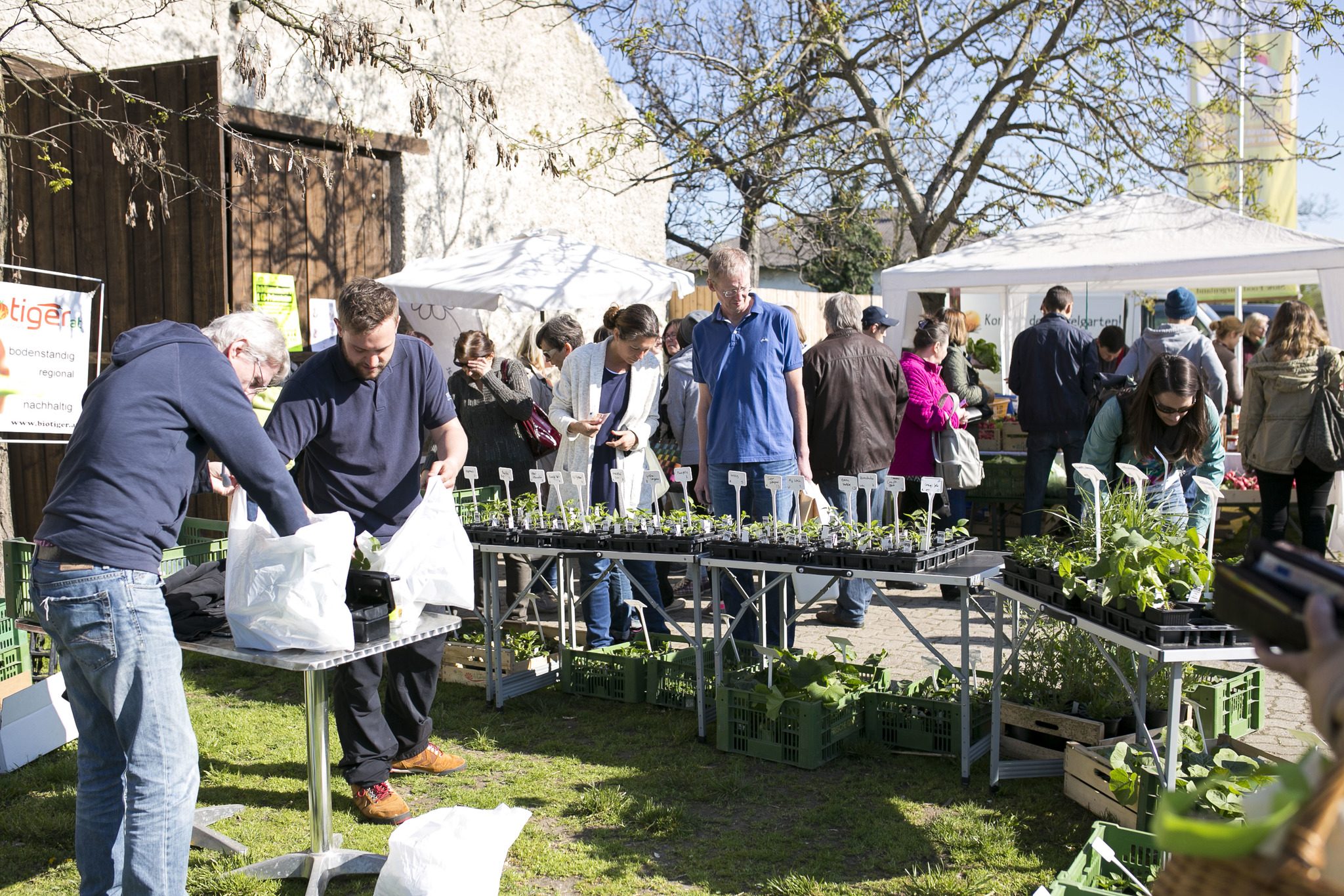 Markt der Erde in Parndorf